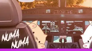 BONGO CAT — O-ZONE | Numa numa  ◉︿◉ HD