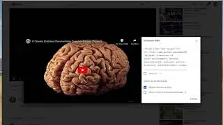 Obter links e códigos embed de vídeos