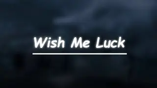 Wallows - Wish Me Luck (Lyrics)