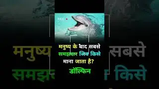 मुनष्य के बाद समझदार? #shorts #ytshorts #trending #gk #currentaffaires