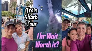 Houston's Downtown Aquarium - Train Shark Tour - Hour Long Wait. Worth it?