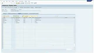 SAP ABAP Tutorial 2026 - ABAP DDIC - Database structure