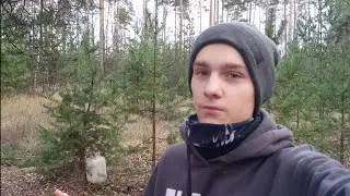 новости про спот.