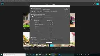 How to bulk resize images Photoshop - 