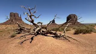 Southwest National Parks