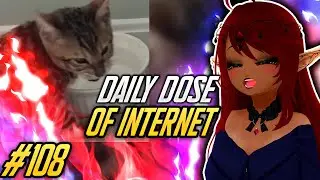 HE'S HAPPY I SWEAR!! | Daily Dose of Internet Reaction