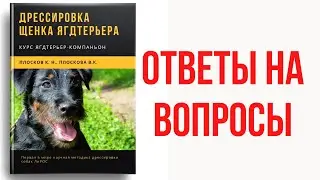 Стрим 40. Книга 