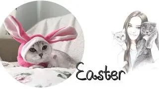 ❤️КОТИКИ ГОТОВЯТСЯ К ПАСХЕ❤️ПАСХА❤️HAPPY EASTER❤️