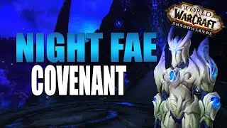 BEST ALL ROUND OPTION? Night Fae Covenant Preview Death Knight Shadowlands Beta