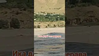 #tajikistan #рек #хит👑 #shortvideo #love #tajik ♥️#beatuful 🇹🇯