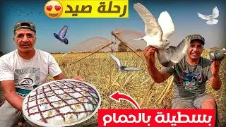 الحياة البرية : أخطر طريقة صيد الحمام🕊 الخلوي تحضير بسطيلة🥧 بالحمام 🤤