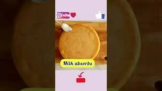 vanilla cake recipe 