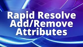 Rapid Resolve - Add and Remove Attributes