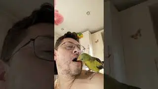Попрошайки))