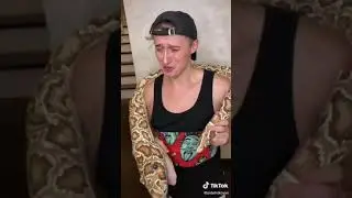Ролики sidelnikovvv из тик тока