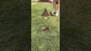Grass Block Pyramid