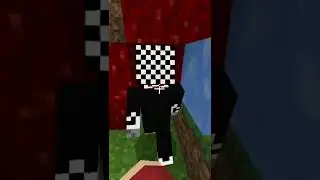 Who Can Build The Worst House!🤔#shorts #minecraft