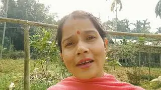 jumi jumi sale kiyo Assamese song lyrics video juli Borah vlog JB Assam Assam video Mousumi Saharia