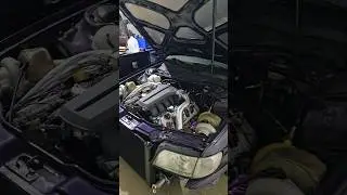Audi 5.2 V10 MaxxECU Idle