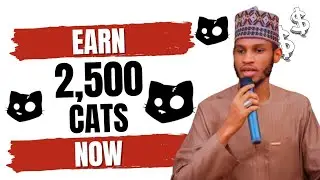 DUK WANDA BAI WADAN NAN TASKS DIN BA GUDA UKU A CATS GA YADDA AKEYI
