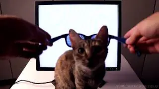 Как сделать монитор, содержимое которого видите только вы