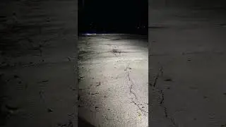 лазерные противотуманые фары viper led pro lazer я уверен вы лучше света не видели