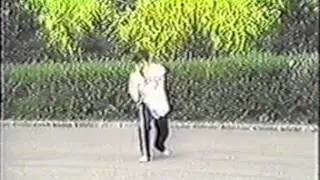 Старый обзорный фильм по ушу, ч.1