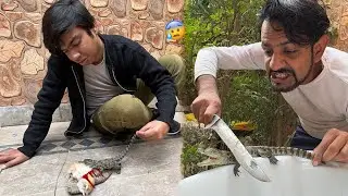 Mamu Crocodile Ko Zibah Kr Rha 😰