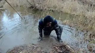 Постановка капкана на Бобра  Bank Hole (Бэнк Хол) + Beaver Creek подробно (09.11.2018)