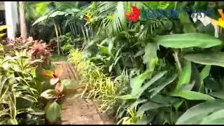Villa La Mer Blue - 3 Bedroom Luxury Villa In Anjuna, Goa