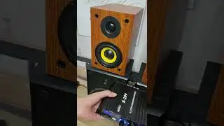 Ultra Bass Test Subwoofer 4.1💥💣 #woopker #s-299 #dj #shorts #homeaudio #hifi #bluetoothamplifier