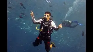 What are the most awesome adventure sports?