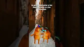 INCIDENTE EL GATO NEGRO ME HABLO 🌚💀 #voidmeme #cheems