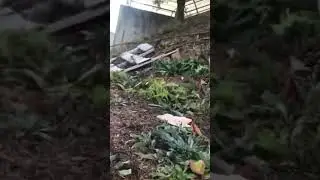Глухой, Слепой и долбоёб