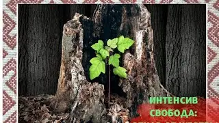 ОТКАЗ ОТ ЖЕРТВЫ 3