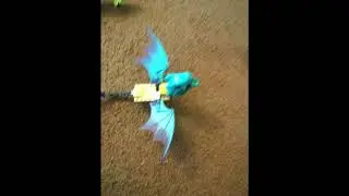 The Story of Hompfville