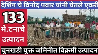 देशिंग च्या विनोद पवार यांनी घेतले एकरी 133 टनाचे उत्पादन |चुनखडी युक्त जमिनीत विक्रमी उत्पादन |