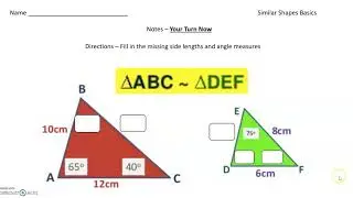 scale copy