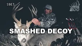 Decoy Madness