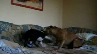 Sidney und Lenny Spielen Teil 1