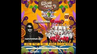 Festival del Vino 2024