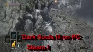 Bandai Namco, FromSoftware and Steam can kiss my ...  A$$$$ !!!