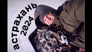 ВОТ ЭТО РАЗДАЧА / РЫБАЛКА МЕЧТА / АСТРАХАНЬ 2024 /