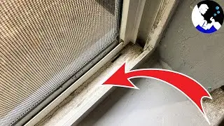 EASIEST Way To Clean Window Tracks 💥