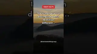The human eye can distinguish about 10 million different... #shorts