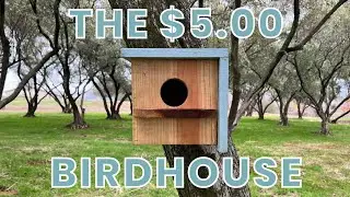 How to Build a Modern Birdhouse for my Garden