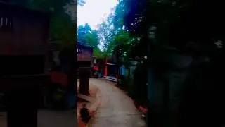 Gambaran yen mbojo wong Nggunung
