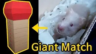 My Funny Pet Hamster Soap in 9-Level Giant Match  Maze