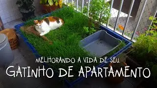 TIP FOR CATS GARDEN on the APARTMENT balcony - Improving your house kitty's life!