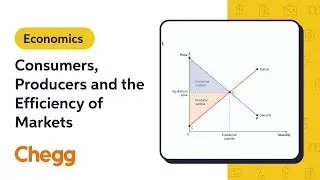 Consumers, Producers and the Efficiency of Markets | Macroeconomics